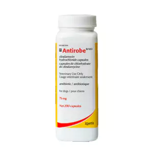 Zoetis Antirobe 200 Cap 75 mg