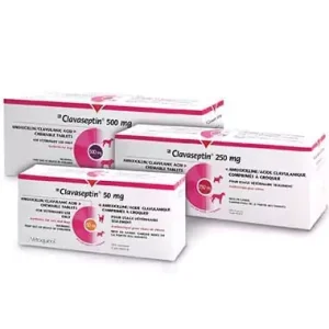 Vetoquinol Clavaseptin 100 Tab 250 mg