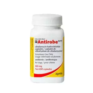 Zoetis Antirobe 100 Cap 150 mg