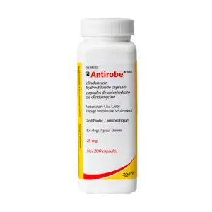 Zoetis Antirobe 200 Cap 25 mg