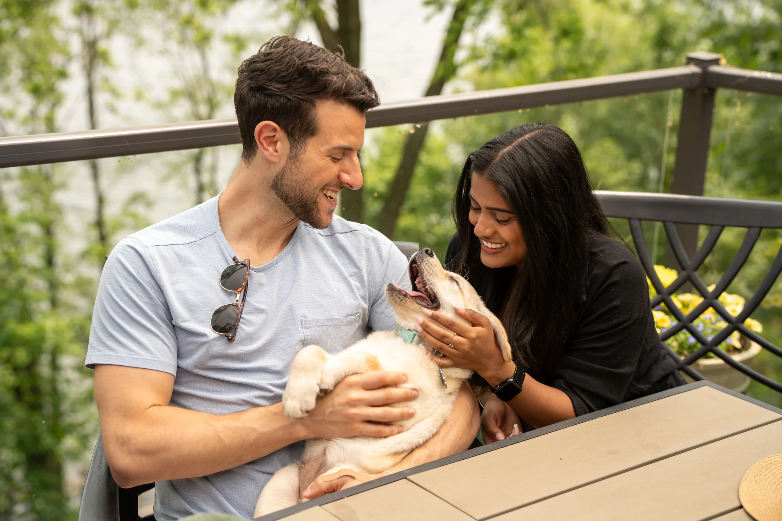 Making Pet Prescriptions Easier and More Affordable for Canadian Pet Parents